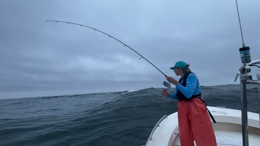 How to choose the perfect rod for bucktail fishing