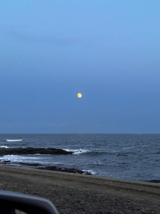How Tides and Currents Help You Catch More Striped Bass While Surfcasting
