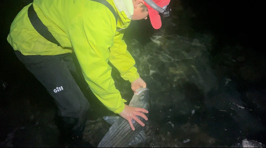 How to Properly Release and Revive a Striped Bass