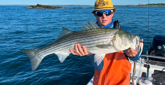 How Barometric Pressure Affects Fishing for Striped Bass